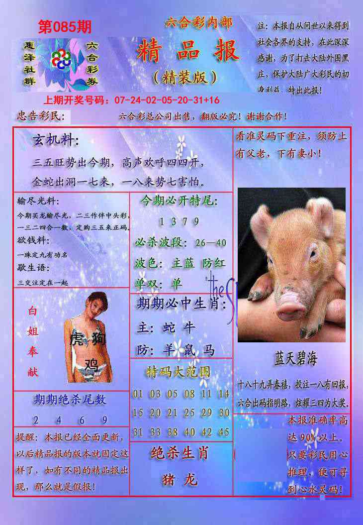085期精品报[图]