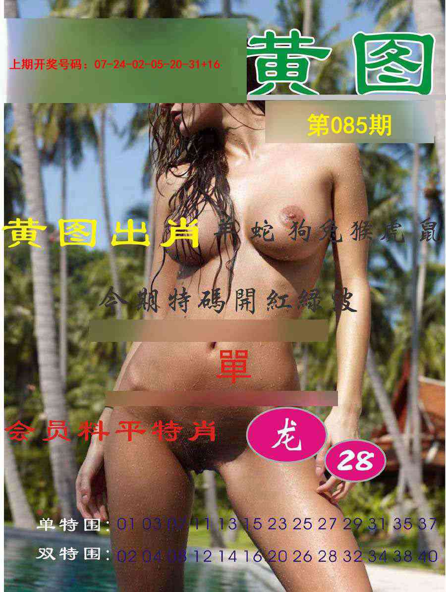 085期黄图[图]